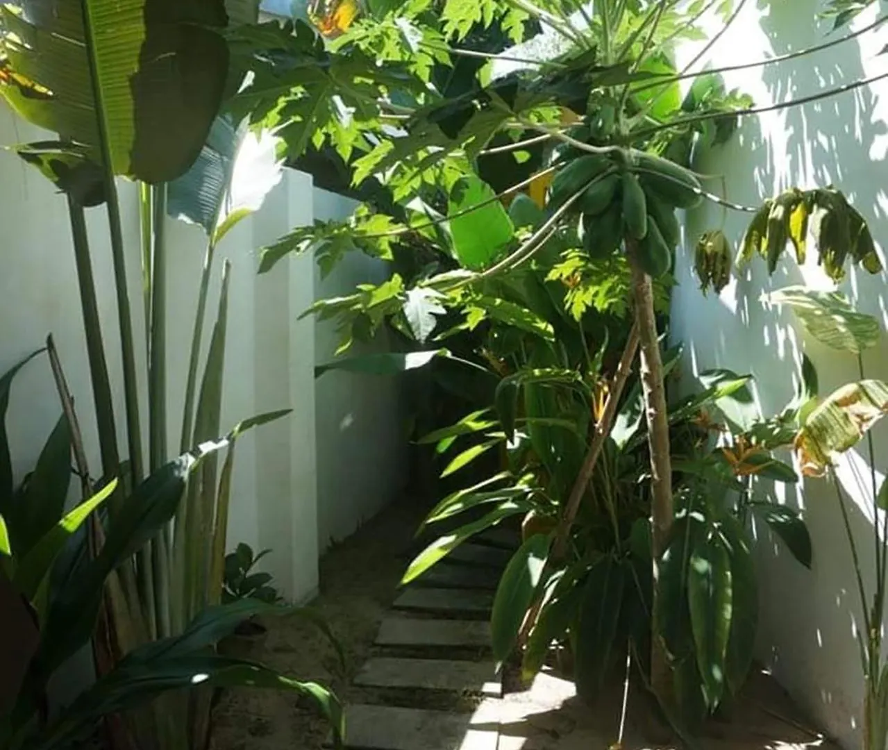 Be'S Beach House An Bang Хойан 0*,
